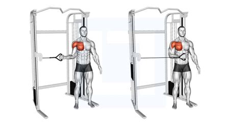 Cable Shoulder Internal Rotation - Guide, Benefits, and Form