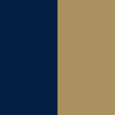 Georgia Southern University Brand Color Palette - HEX Codes | Pick Color Online