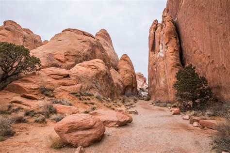 Devils Garden Trail: The Best Hike in Arches National Park | Earth Trekkers