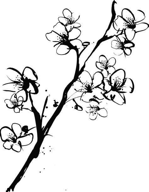 Simple Cherry Blossom Drawing | Free download on ClipArtMag