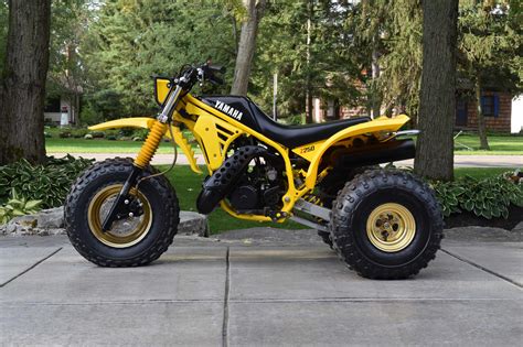 1985 Yamaha TRIZ 250 for Sale at Auction - Mecum Auctions