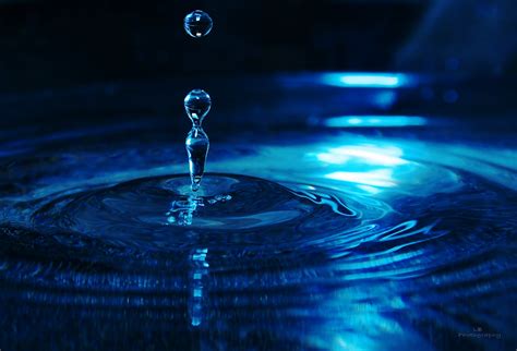 water, Drop, Macro, Nature, Macro, Zoom, Gouttes, Pluie Wallpapers HD ...