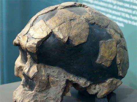 Homo Sapiens Fossils 36,000 Years Older than Previously Believed - GreekReporter.com