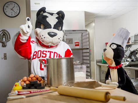 Rhett the Terrier, through the Years | BU Today | Boston University