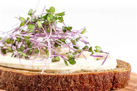 A large vegetarian sandwich with micro greens in men's hands - Creative Commons Bilder