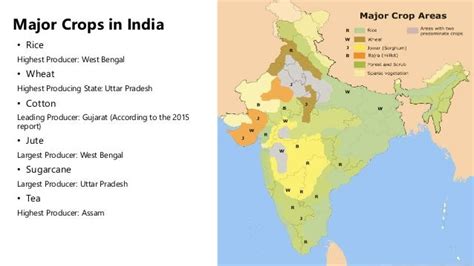 Agriculture System/Sector in INDIA