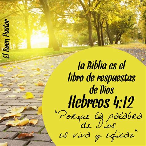 YO SOY EL BUEN PASTOR: Hebreos 4:12