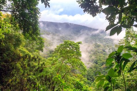 The Darien Gap: Inside A Remote Jungle (Photo Essay)