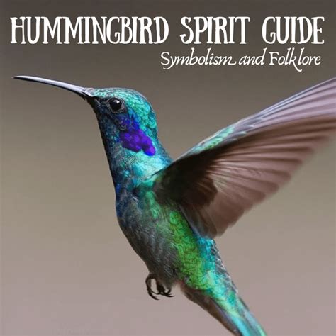 Hummingbird Meaning, Spirit Guide and Folklore