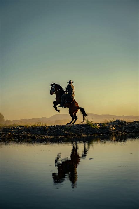 Cowboy Silhouette Photos, Download The BEST Free Cowboy Silhouette ...