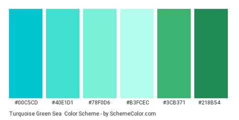Turquoise Green Sea Color Scheme » Green » SchemeColor.com
