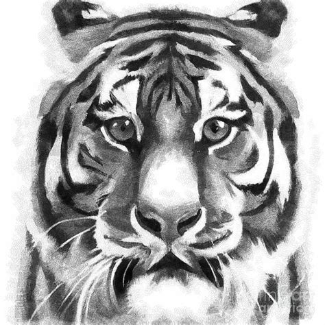 Animal Abstract 29b - Tiger Portrait Digital Art by Philip Preston ...