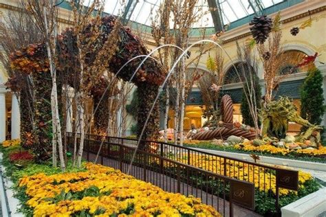 Bellagio Conservatory & Botanical Gardens is one of the very best ...