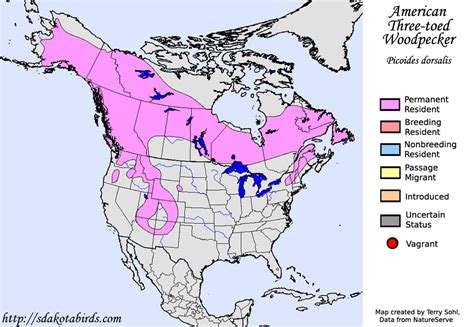 American Three-toed Woodpecker - Species Range Map