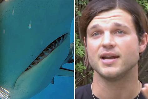 'Shark attack victim' speaks out about what REALLY happened to him ...