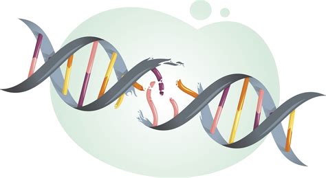 Drexel Medicine Researchers Develop New Technology to Target DNA Damage ...