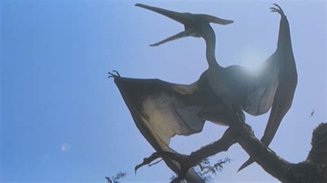 Category:Pterosaurs | Jurassic Park wiki | FANDOM powered by Wikia