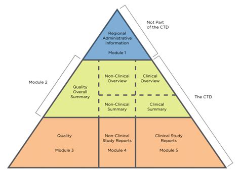 Leena Emad on LinkedIn: "Understanding the Five Modules of the CTD ...