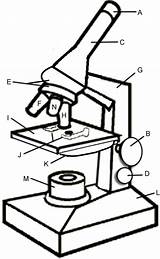 Microscope Coloring Page sketch template