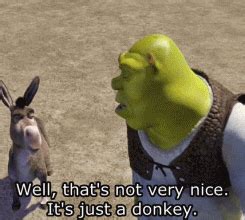 Shrek Movie GIFs on Giphy