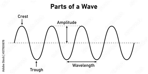 Parts of a transverse wave in physics. The basic properties of waves. Crest, trough, amplitude ...