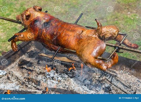 Suckling Pig Cooking On A Sardinian Spit Over The Grill Stock Photography | CartoonDealer.com ...