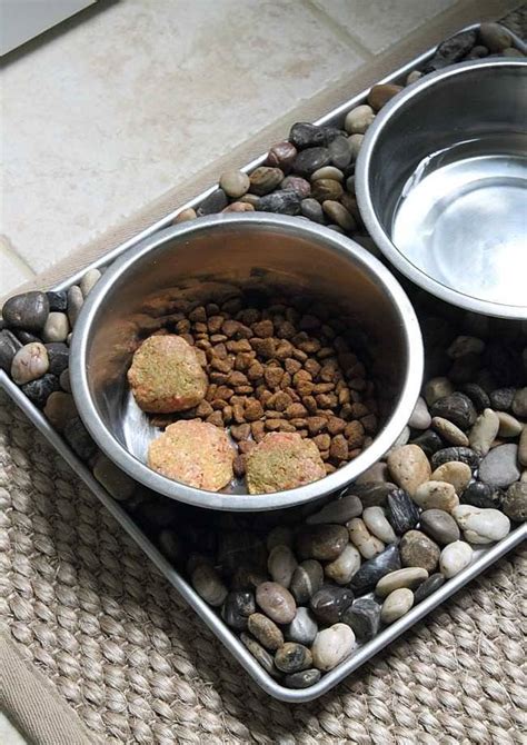 10 Best Chicken Liver Dog Food Recipes