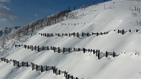 Japan Avalanche Fence Powder Skiing - SnowBrains