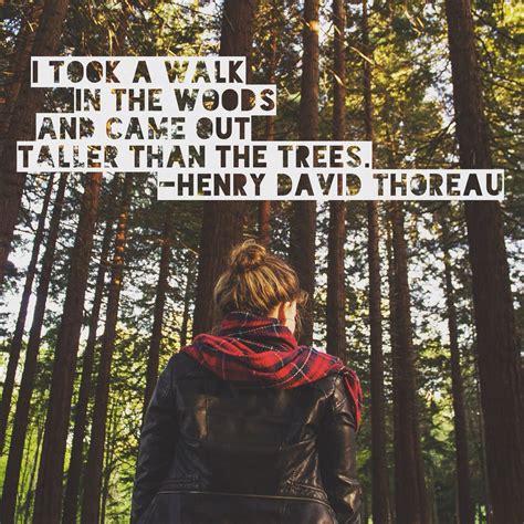 Quotes About The Woods And Nature - ShortQuotes.cc