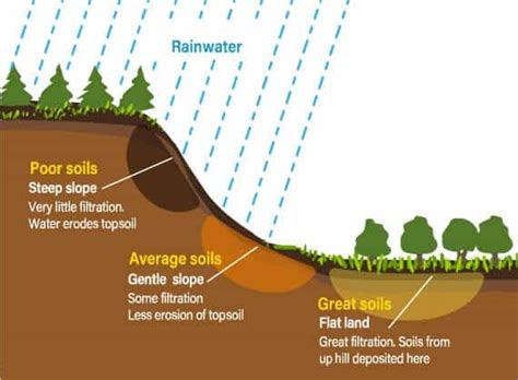 Soil Genesis: Formation Of Soil - Biogeography UPSC