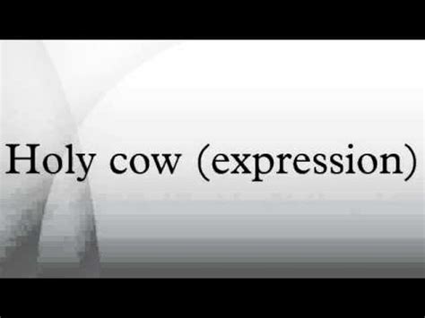 Holy cow (expression) - YouTube