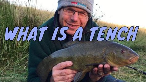 What is a Tench | Pond Fish | Any Pond Limited | UK - YouTube