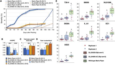 A potato late blight resistance gene protects against multiple ...