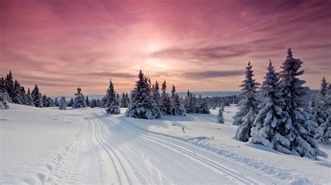 Lillehammer, Norway skiing at sunset | Cross country skiing, Lillehammer, Skiing photography