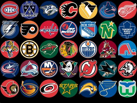 Saturday NHL Puck Plays | Nhl logos, Nhl hockey, Fantasy hockey