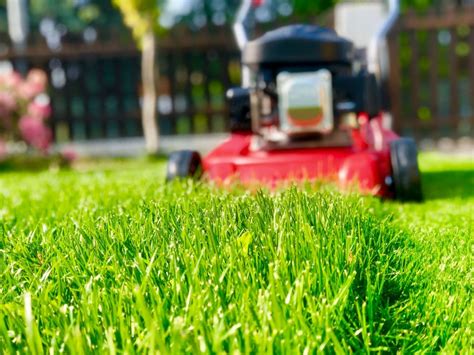 11 Tips for Mowing Your Lawn in Summer | myhomeTURF