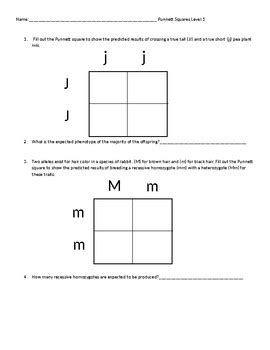 Tiered Punnett Square Worksheet Packs (9 Total!) by Taylor Kane | TPT