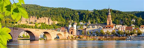 Hiking through the vineyards in Rudesheim | CroisiEurope Cruises