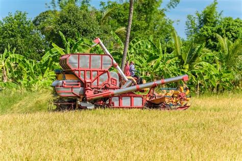 Premium Photo | Combine harvester in action on rice field. harvesting ...