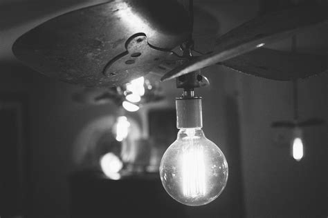 Free stock photo of black-and-white, idea, light bulb