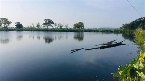 International Wetlands Day and East Kolkata Wetlands : পূর্ব কলকাতায় জলাভূমির জমি এত উর্বর কেন ...