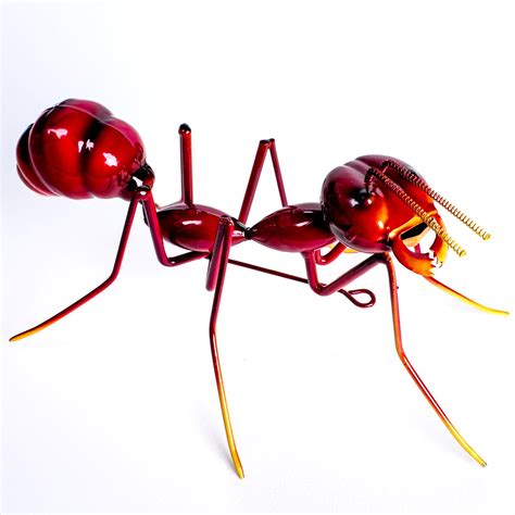 Bull Ant Red Large – Pro Hart