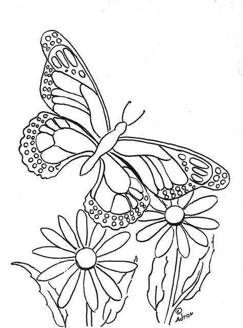 Coloring Pages for Kids by Mr. Adron: Butterfly Coloring Page to Print and Color