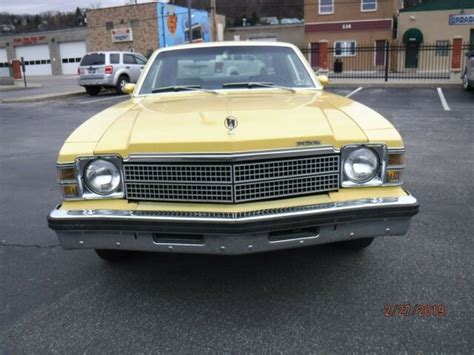 1979 Buick Skylark coupe for sale: photos, technical specifications ...