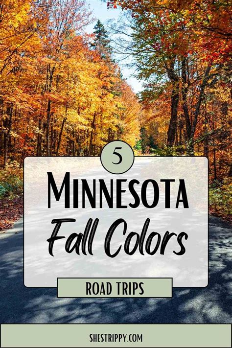 Minnesota Fall Colors 2024 Map - Leia Shauna