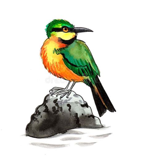 Colorful bird on a stone stock illustration. Illustration of animal ...