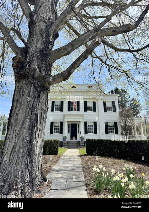 Old Lyme, Connecticut, USA: Beautiful old, white house with large tree in front. Pathway leading ...