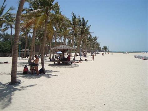 Jumeirah Beach, Dubai | Tickets & Tours - 2024