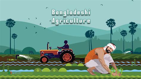 Agriculture In Bangladesh: Based On Our Perspective - BDContact.Com