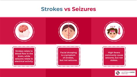 Epilepsy Causes And Risk Factors